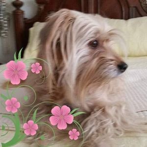 Meet your Posher, Patricia